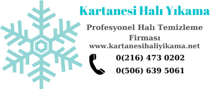 Kartanesi Halı Yıkama